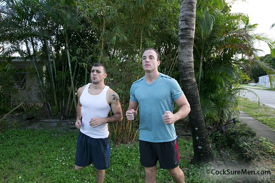 picture 1